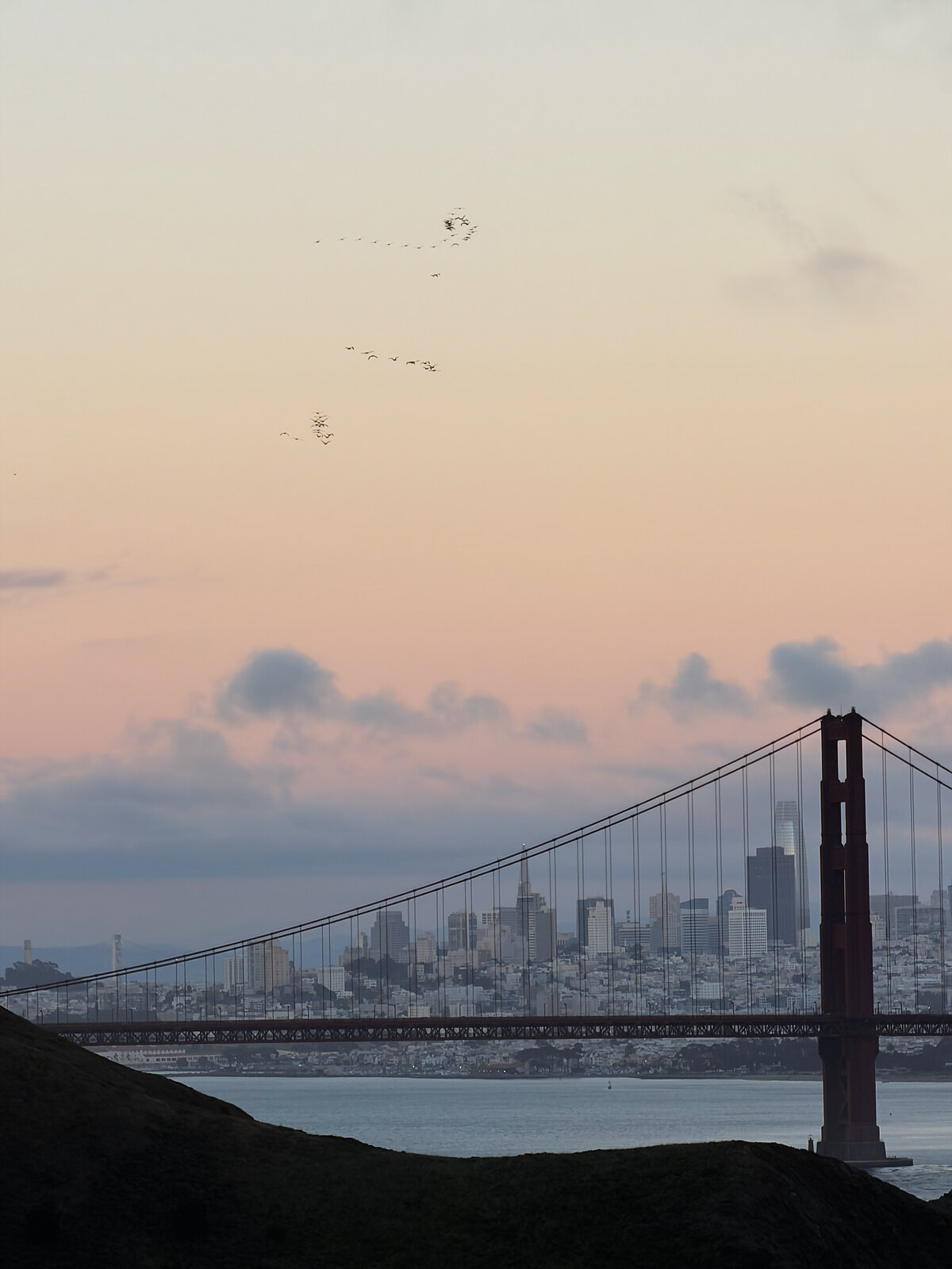 Birds over the San Francisco skyline at dusk, seen past the Golden Gate